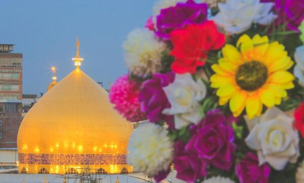 عکس گل امام علی