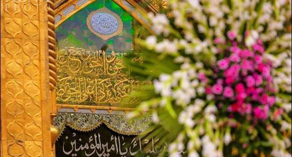 عکس گل امام علی