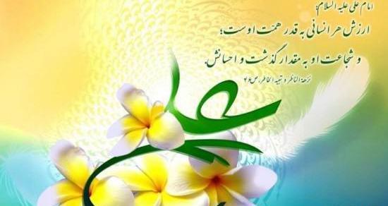 عکس گل امام علی