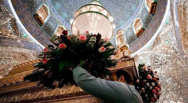 عکس گل امام علی