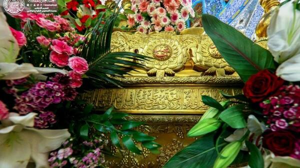 عکس گل امام علی
