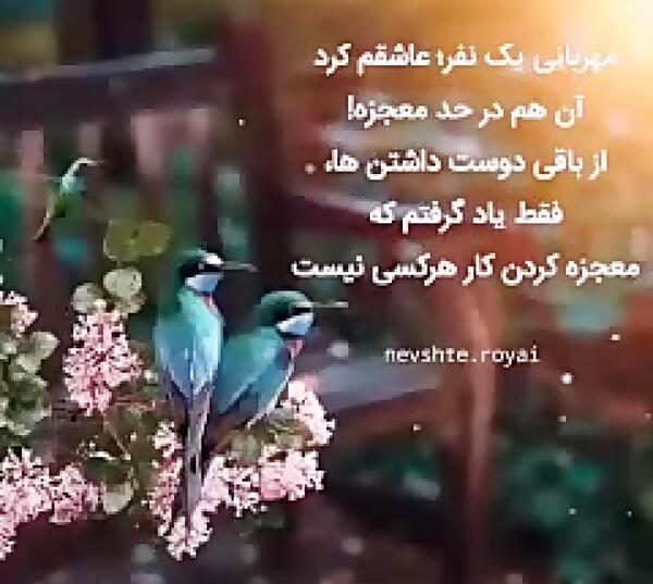 عکس وضعیت واتساپ آرامش