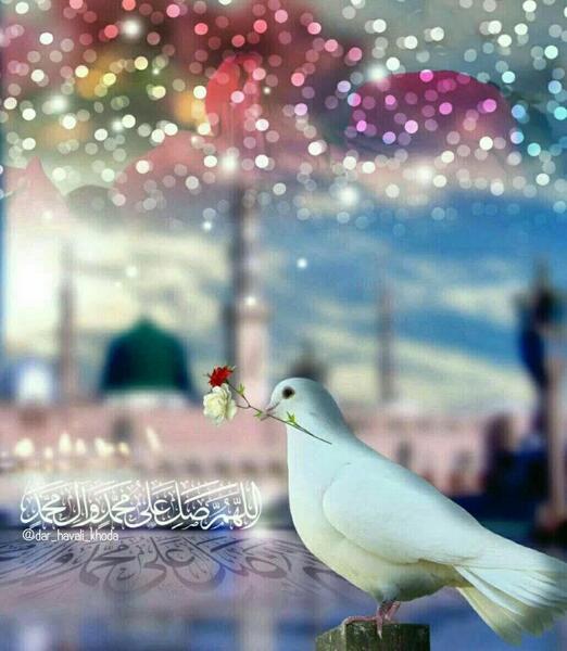 عکس الله هم صلي ع محمد