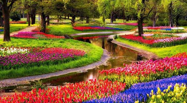 عکس جاهای دیدنی هلند