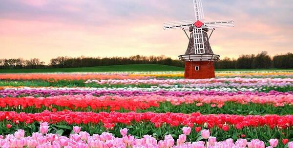 عکس جاهای دیدنی هلند