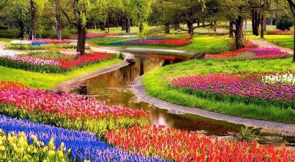 عکس جاهای دیدنی هلند