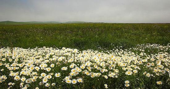 عکس طبیعت خرداد ماه