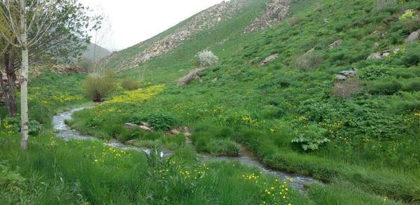 عکس شهر بانه