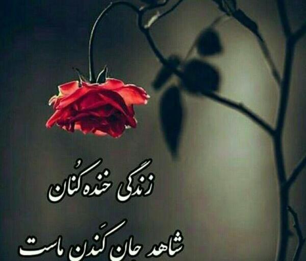 عکس جون کندن
