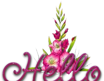 عکس شاه غالب