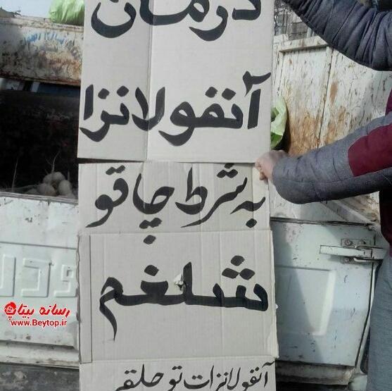 عکس خنده دار از شلغم