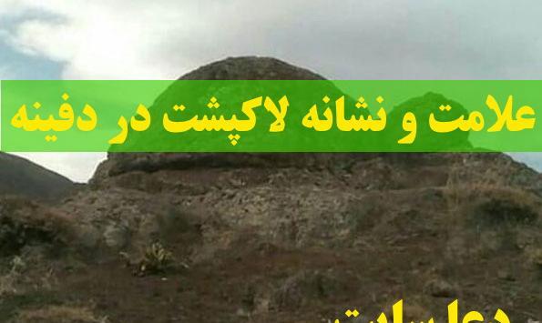 عکس لاک پشت در دفینه