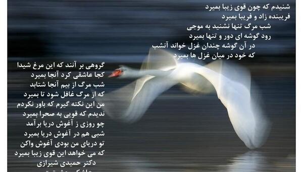 عکس نوشته آواز قو