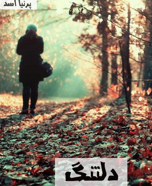 عکس خورشید در رمان غروب خورشید