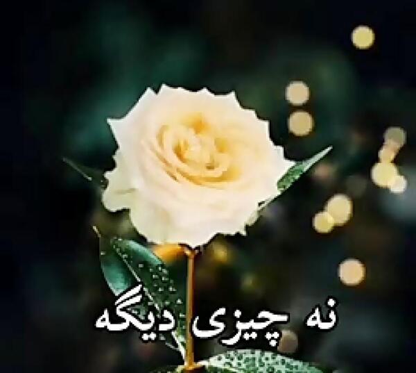 عکس نوشته خدا پشت وپناهتون
