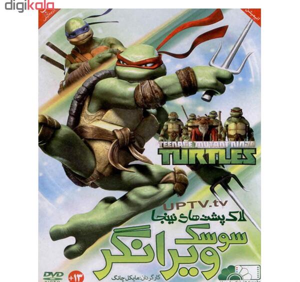 عکس سوسک لاک پشتی