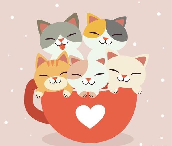 عکس گربه کارتونی