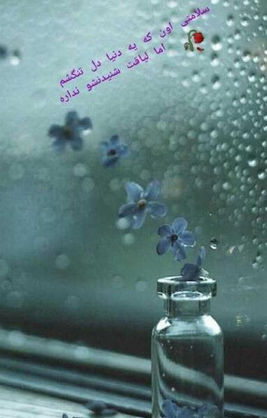 عکس استوری طبیعت برای اینستا