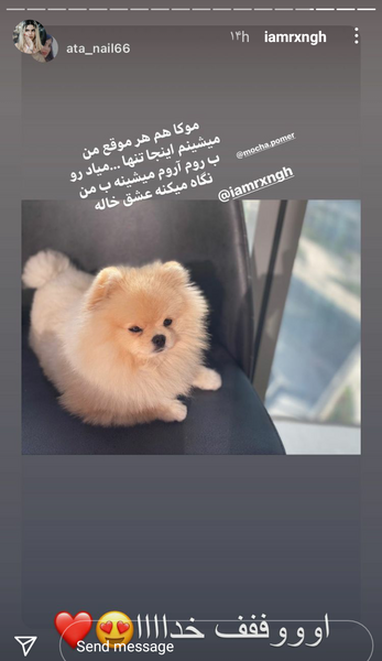 عکس سگ رکسانا موکا