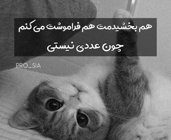 عکس فرشته پشمایی