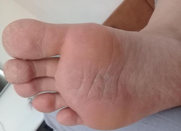 عکس پاهام نی نی سایت