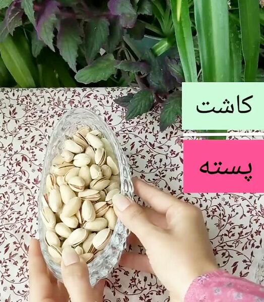عکس کاشت پسته