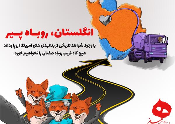 عکس روباه پیر