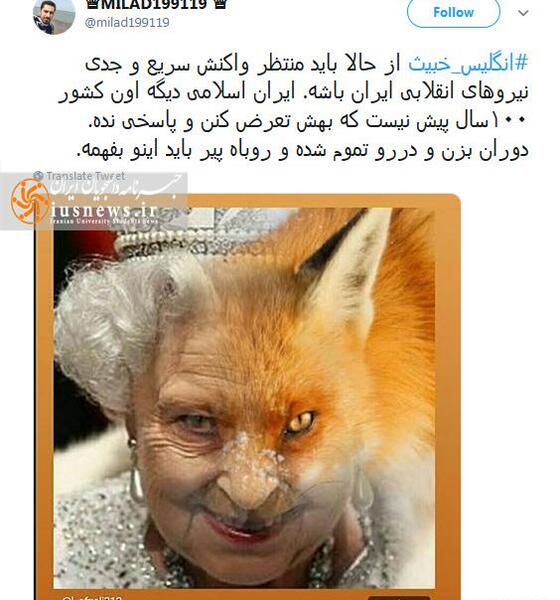 عکس روباه پیر