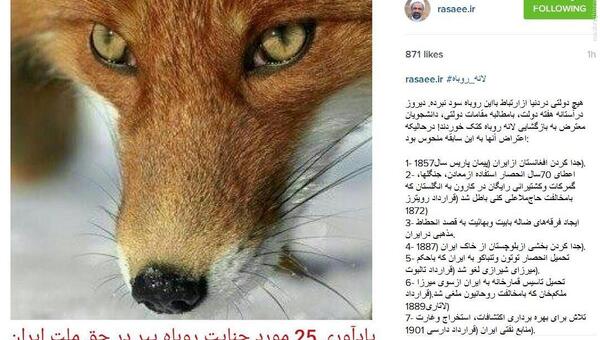 عکس روباه پیر