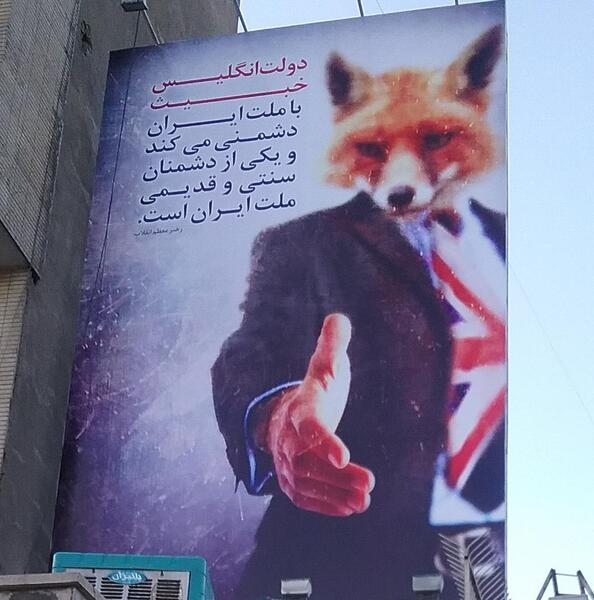 عکس روباه پیر