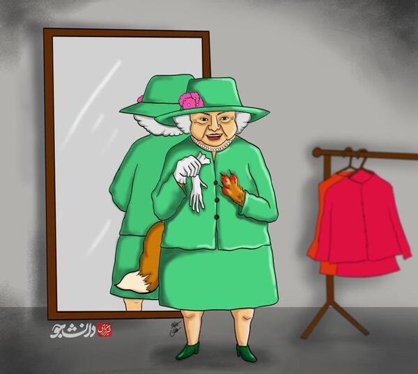 عکس روباه پیر