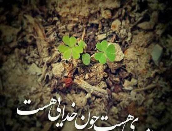 عکس های زیبا و خاص