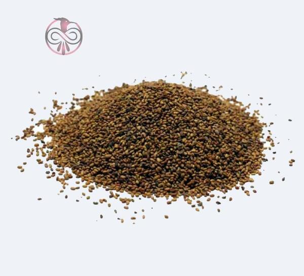عکس یونجه همدانی