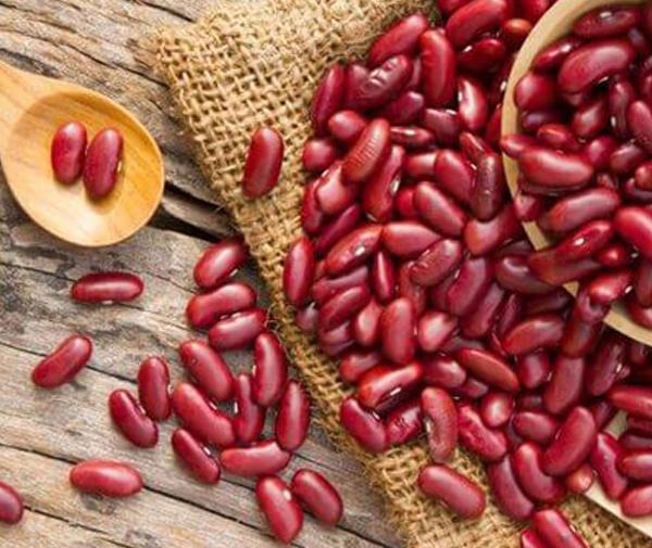 عکس کاشت لوبیا قرمز