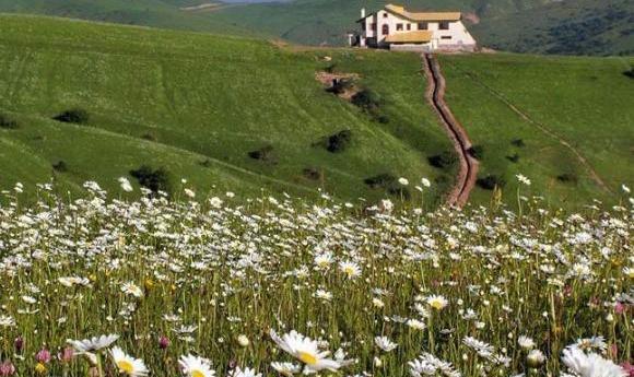 عکس هتل ساوالان فندقلو