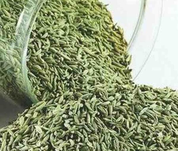 عکس نوشته خواص رازیانه