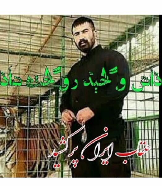 عکس وحید مرادی متن دار