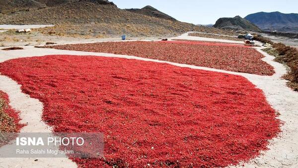 عکس جاده زرشک