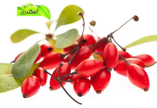 عکس جاده زرشک