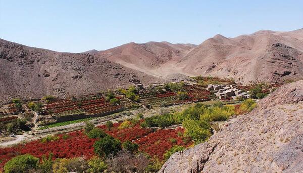 عکس جاده زرشک