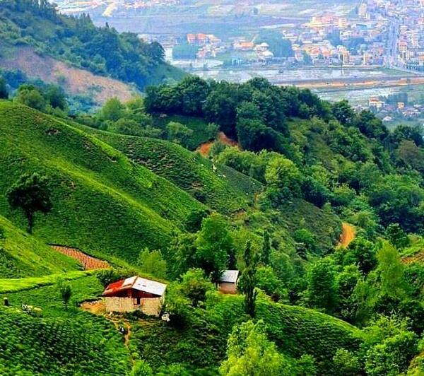 عکس طبیعت لنگرود