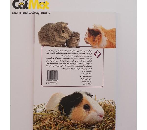 عکس شپش خوکچه هندی