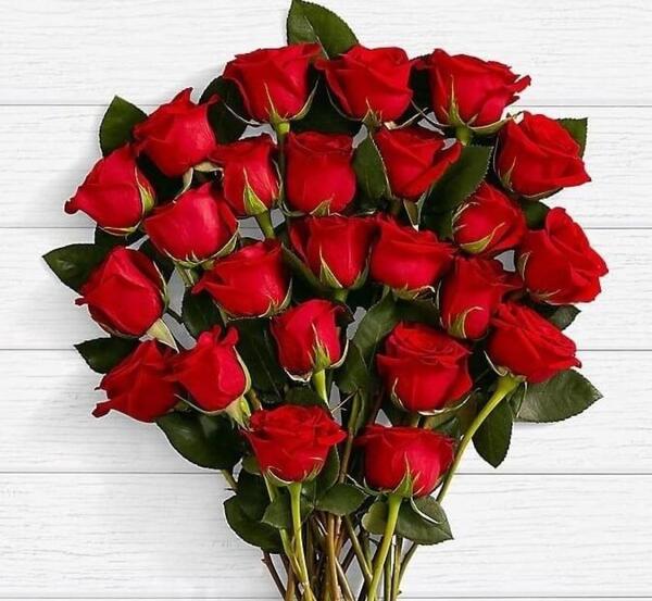 عکس دسته گل سرخ