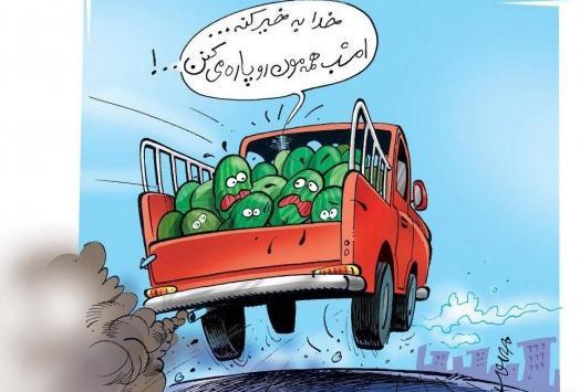 عکس شپش خنده دار