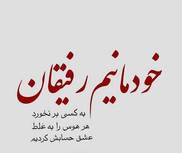عکس غلط کردم