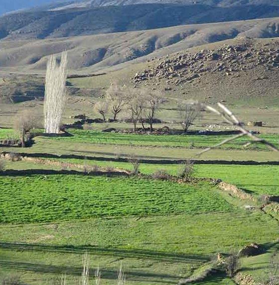 عکس روستا صالحان