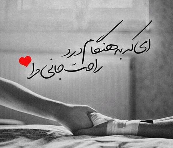 عکس عاشقانه شاخ بدون متن