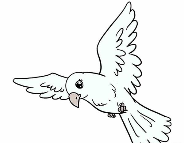 عکس نقاشی ساده رنگی