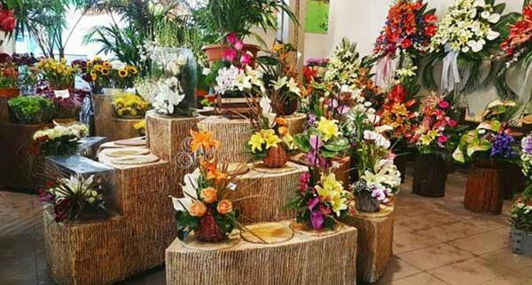 عکس گل فروشی