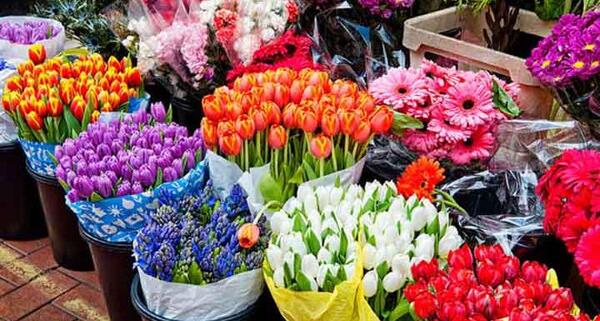 عکس گل فروشی